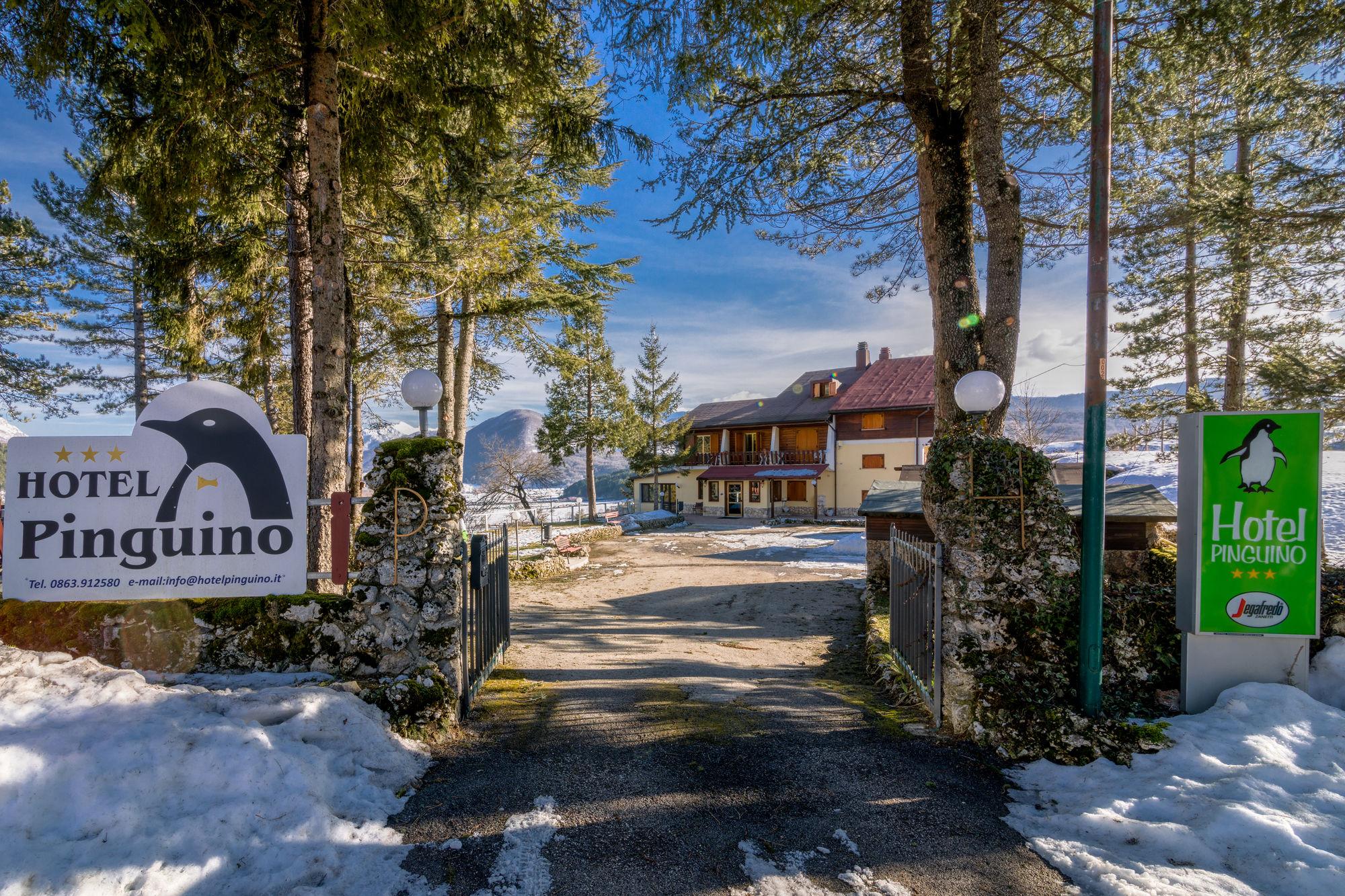 Hotel Pinguino ペスカッセーロリ エクステリア 写真