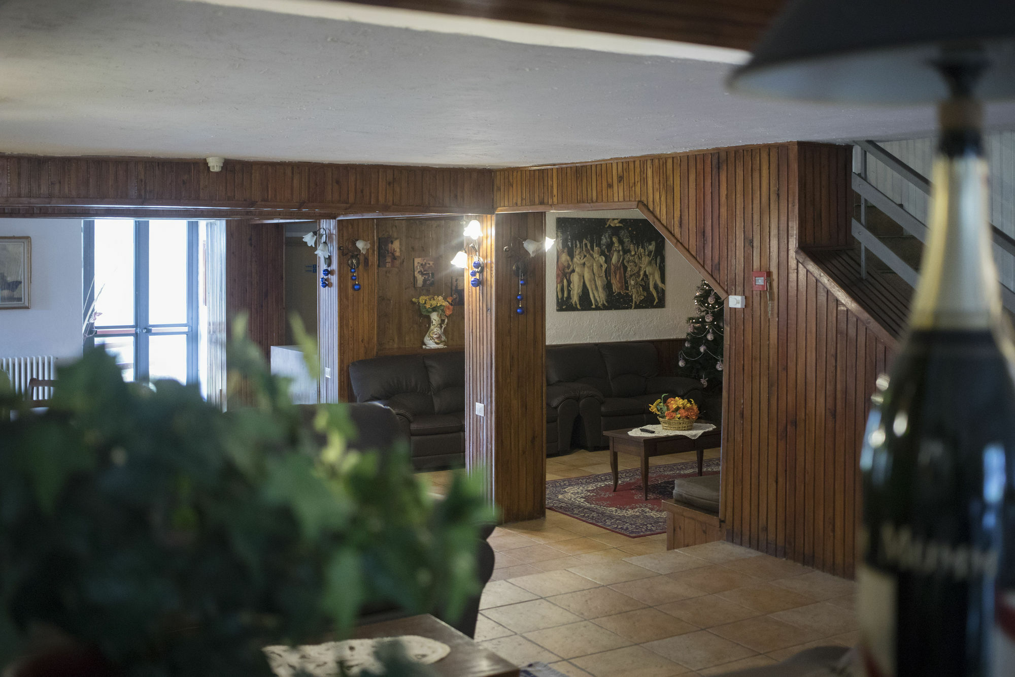 Hotel Pinguino ペスカッセーロリ エクステリア 写真